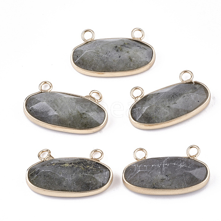 Natural Labradorite Pendants G-S344-44C-1