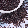MIYUKI Round Rocailles Beads SEED-JP0008-RR4502-1