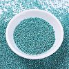 MIYUKI Delica Beads SEED-X0054-DB0427-2