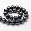 Shell Pearl Bead Strands BSHE-L025-05-16mm-2