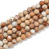 Dyed Natural Regalite/Imperial Jasper/Sea Sediment Jasper Beads Strands G-B124-C04-11-1