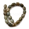 Tibetan Style dZi Beads Strands G-S389-A13-3
