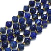 Natural Lapis Lazuli Beads Strands G-I376-B15-01-1