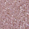 MIYUKI Delica Beads Small SEED-X0054-DBS1243-3