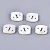 Natural White Shell Beads SSHEL-ZX004-02D-1
