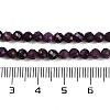 Natural Ruby Beads Strands G-P553-G01-03-5