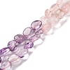 Natural Rose Quartz & Amethyst Beads Strands G-L610-B13-01-1