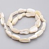 Natural Shell Bead Strands BSHE-P021-04-2