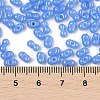 Baking Paint Glass Seed Beads SEED-L011-09A-05-4