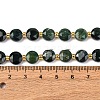 Natural Moss Agate Beads Strands G-C116-A15-02-6
