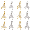 DICOSMETIC 12Pcs 2 Colors Brass Micro Pave Clear Cubic Zirconia Charms FIND-DC0003-27-1