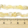 Natural Gold Prehnite Beads Strands G-K395-A07-01-5
