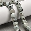 Natural Sesame Jasper Beads Strands G-H078-C24-01-2