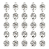 Tibetan Style Alloy Pendants FIND-DC0006-12B-1