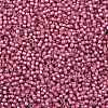 TOHO Round Seed Beads SEED-JPTR11-0959-2
