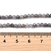 Natural Tanzanite Beads Strands LS-G-S387-A01-3mm-5