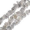 Natural Labradorite Beads Strands G-P497-03A-04-1