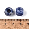 Natural Blue Spot Jasper European Beads G-Q602-09A-09-3