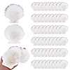 60Pcs Natural Shell Jewelry Decorative Plate AJEW-GA0009-64C-1