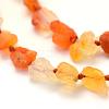 Natural Opal Beads Strands G-G695-16-3