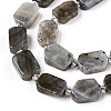 Natural Grey Labradorite Beads Strands G-T138-07-2