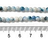 Natural Blue Ice Glacierite Stone Beads Strands G-G078-A01-05-4