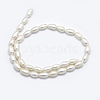 Natural Cultured Freshwater Pearl Beads Strands PEAR-F007-78-01-2