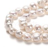 Natural Cultured Freshwater Pearl Beads Strands PEAR-L033-53-2