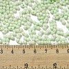 Macaron Color Opaque Frosted Glass Seed Beads SEED-K009-12B-06-4