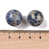 Natural Blue Spot Jasper No Hole Sphere Beads G-K353-04D-14-3