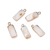 Natural Freshwater Shell Pendants SHEL-N036-05-1