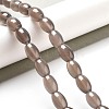 Natural Grey Agate Beads Strands G-B106-B04-01-2