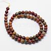 Natural Polychrome Jasper/Picasso Stone/Picasso Jasper Bead Strands G-D840-85-10mm-2