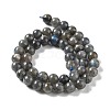 Natural Labradorite Beads Strands G-S333-8mm-035-7