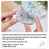 Irregular Natural Celestite/Celestine Home Display Decorations G-WH0018-035-2