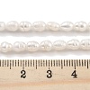 Natural Cultured Freshwater Pearl Beads Strands PEAR-P062-03A-5