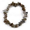 Unisex Chip Natural Labradorite Beaded Stretch Bracelets BJEW-S143-19-2