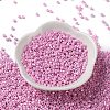Baking Paint Glass Seed Beads X-SEED-S042-15A-04-2