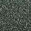 TOHO Round Seed Beads SEED-XTR08-2202-2