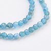Natural Apatite Beads Strands G-F568-135-2mm-3