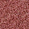 MIYUKI Round Rocailles Beads X-SEED-G007-RR0373-3