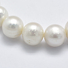 Natural Cultured Freshwater Pearl Beads Strands PEAR-K003-13A-3