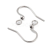 Tarnish Resistant 316 Surgical Stainless Steel Earring Hooks STAS-P220-13P-2