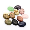 Gemstone Cabochons G-P022-M-1