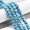 Natural Turquoise Beads Strands G-C179-B24-01-2