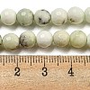 Natural Dendritic Jasper Beads Strands G-E571-A05-01-5