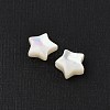 Natural White Shell Beads SHEL-R100-06A-2