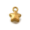 304 Stainless Steel Charms X-STAS-D310-06G-05-1