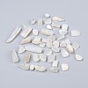Natural White Moonstone Beads G-I304-04-1