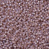 MIYUKI Round Rocailles Beads SEED-G007-RR0579-3